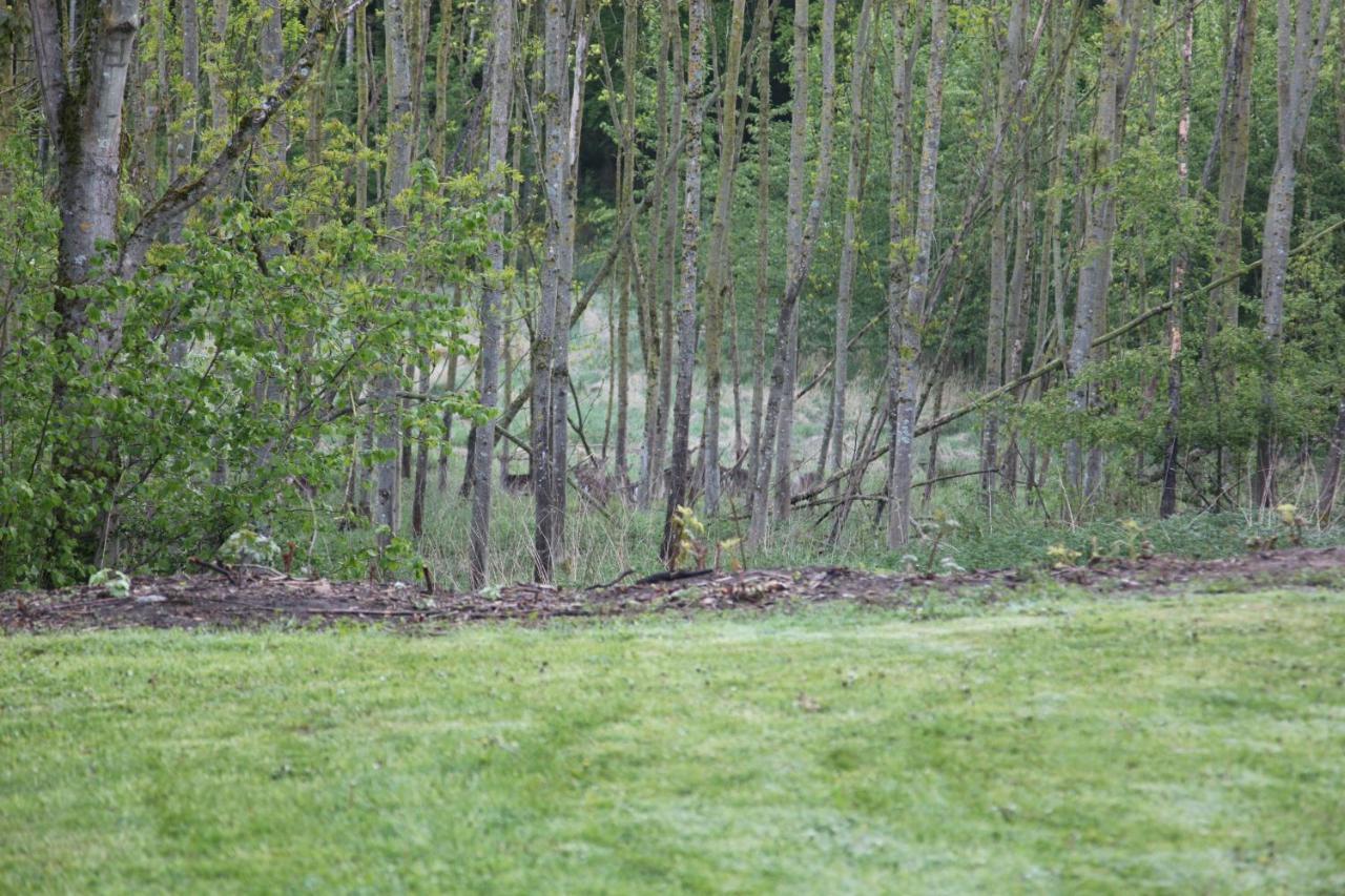 Chalet Forsthof Everstorf Grevesmuehlen Dış mekan fotoğraf