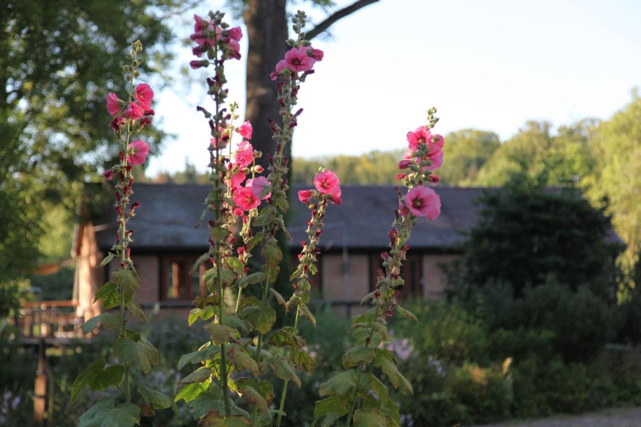 Chalet Forsthof Everstorf Grevesmuehlen Dış mekan fotoğraf