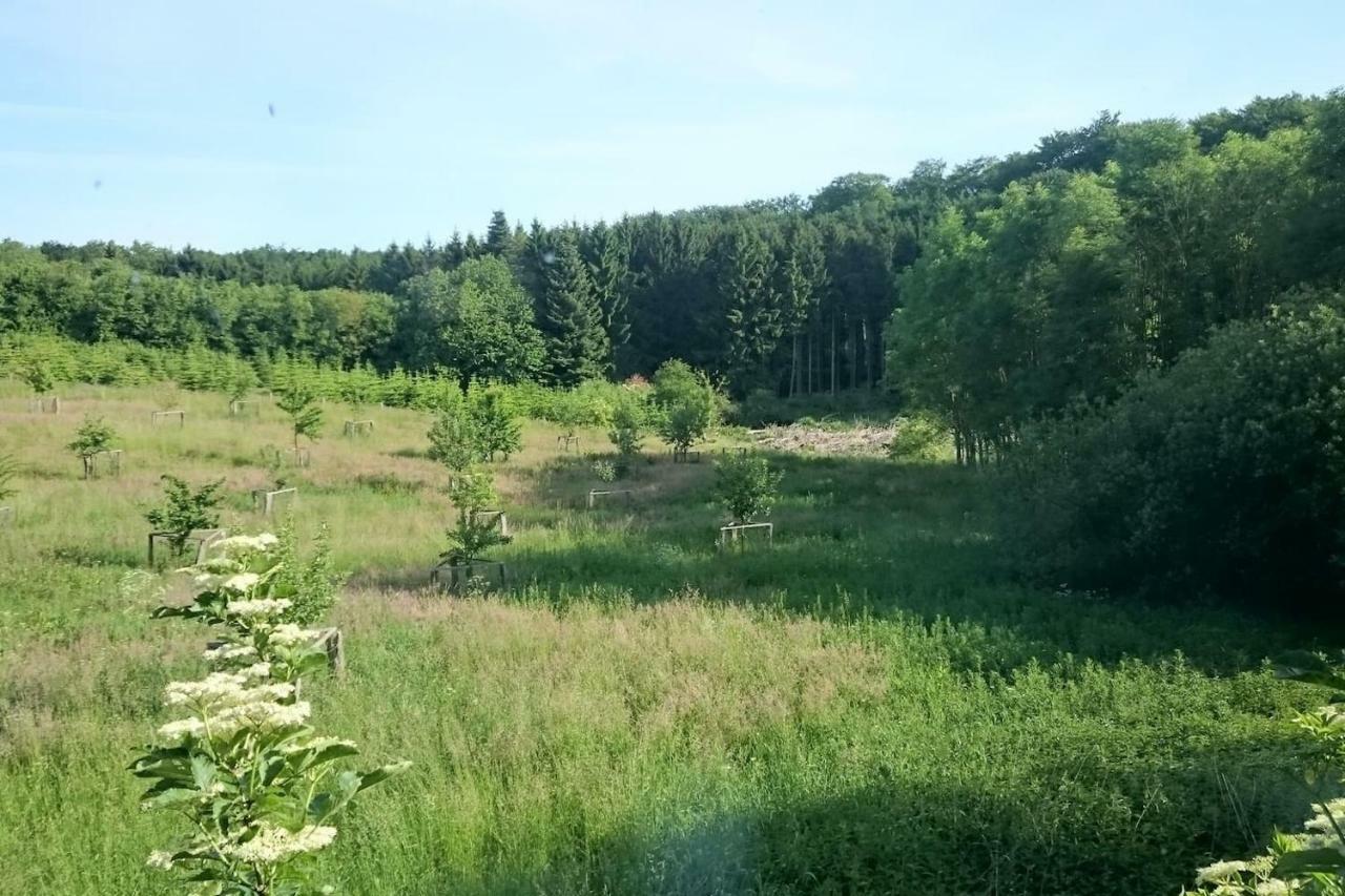 Chalet Forsthof Everstorf Grevesmuehlen Dış mekan fotoğraf