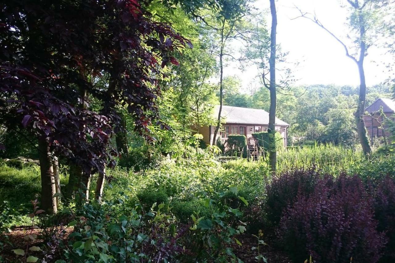 Chalet Forsthof Everstorf Grevesmuehlen Dış mekan fotoğraf