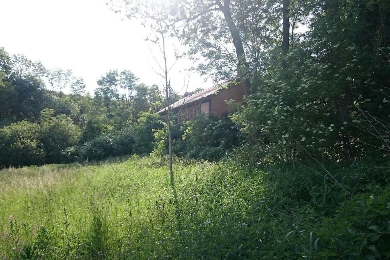 Chalet Forsthof Everstorf Grevesmuehlen Dış mekan fotoğraf